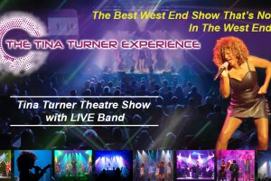 Tina Turner Experience